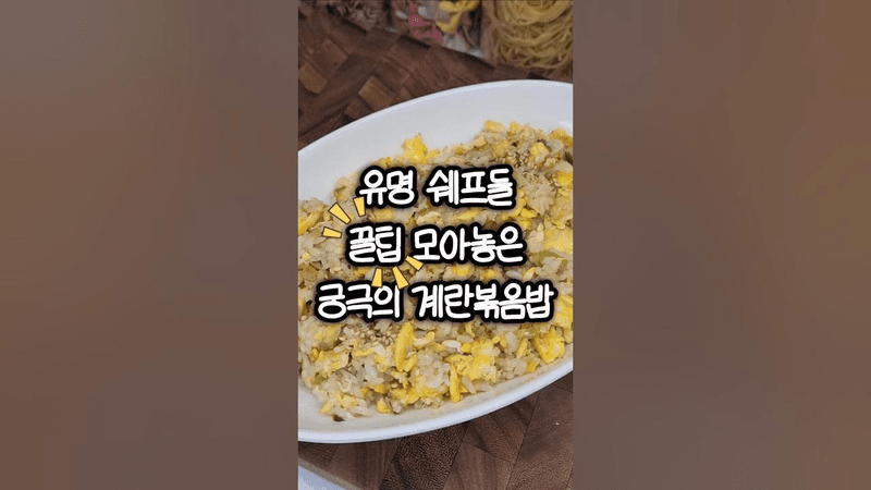유명 쉐프들 꿀팁 담은 궁극의 계란볶음밥 Thumbnail