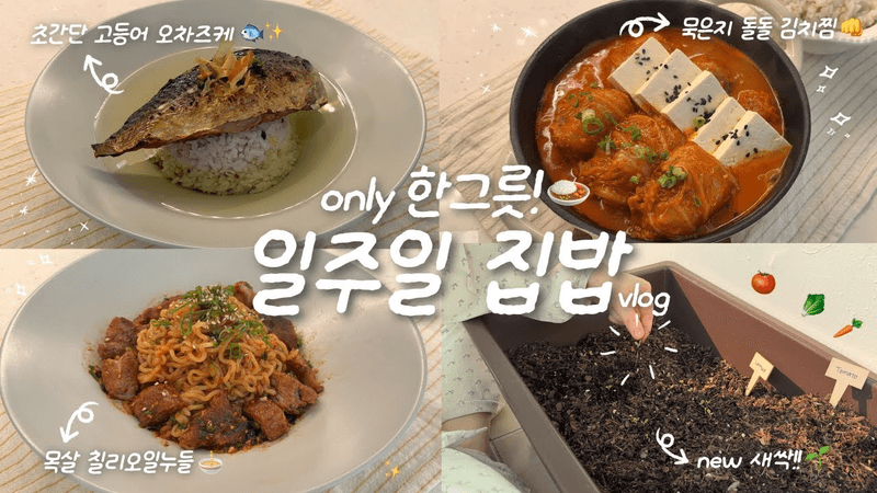 식비 기선제압👊🏻✨1인 가구의 한그릇 집밥 브이로그🍙🏠ㅣ새싹 자란 텃밭🌱ㅣ고등어 오차즈케🐟ㅣ목살 칠리오일누들🍜ㅣ구운달걀카레🍛ㅣ목살돌돌김치찜🫧 Thumbnail