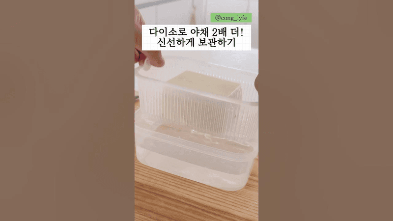 다이소 아이템으로 채소 2배 더 신선하게 보관하는 꿀팁 Thumbnail