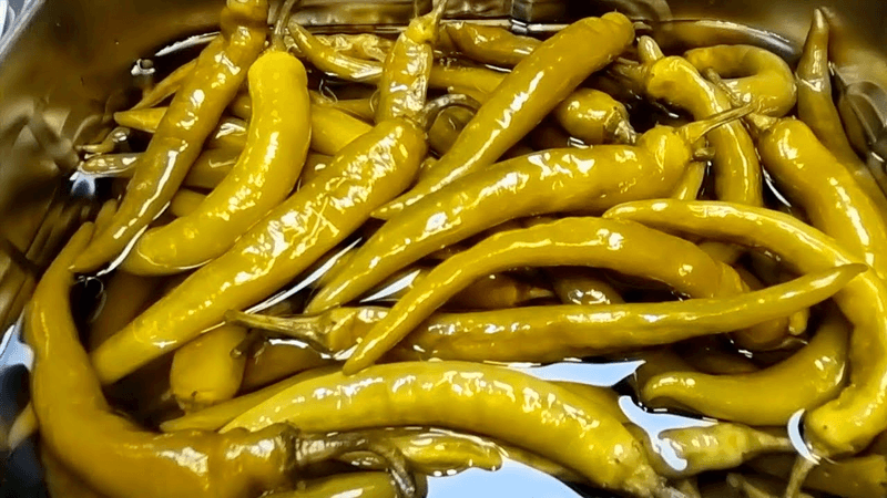 삭힌고추 담그기 이게 정답입니다 Thumbnail