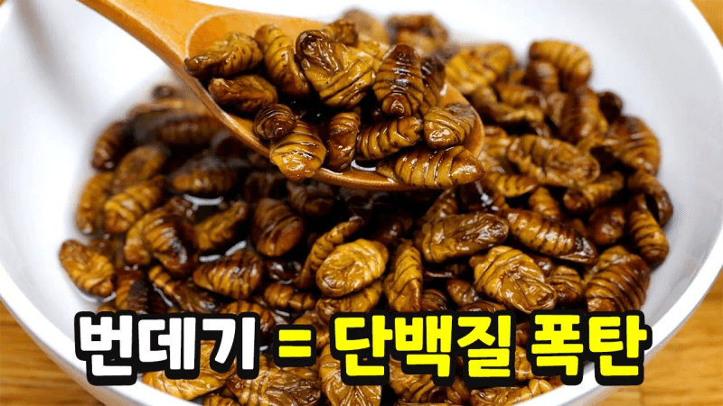 번데기탕 황금 레시피 Thumbnail