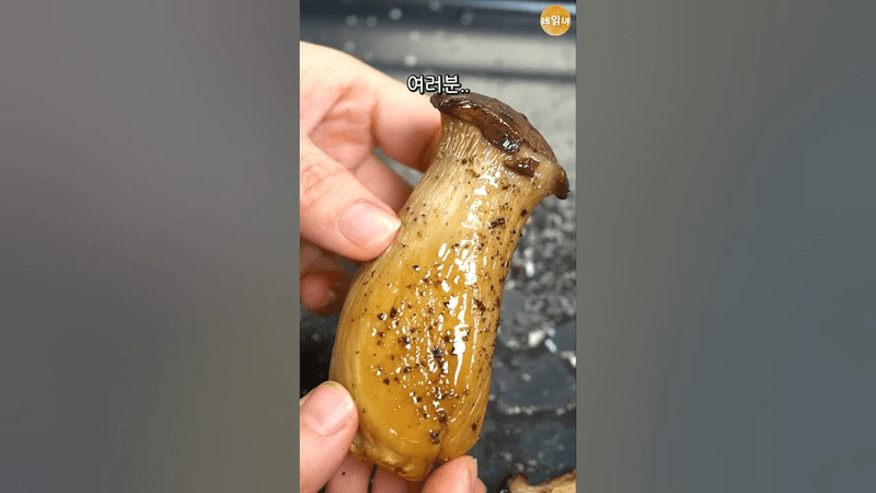 에어프라이어 통새송이 버섯구이 Thumbnail