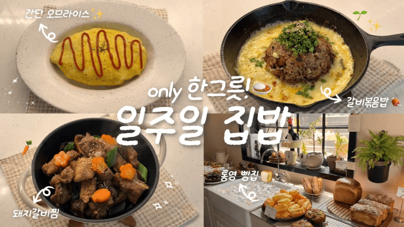 야물딱지게 잘 먹는 1인 가구의 한그릇 집밥 브이로그 Thumbnail