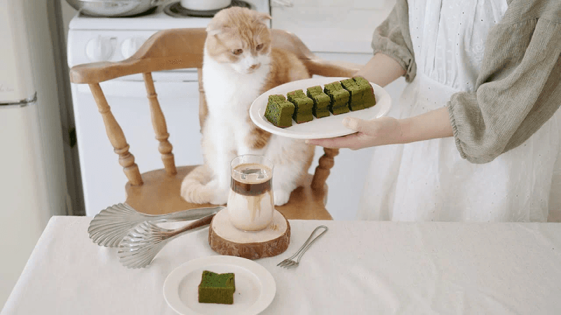 꾸덕한 말차 파운드케이크 Thumbnail