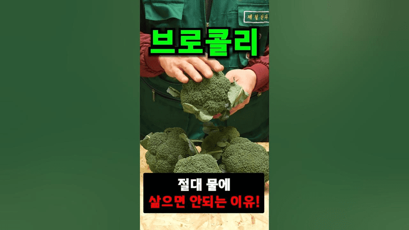 브로콜리 제대로 먹는 법 (세척, 찌기, 보관) Thumbnail