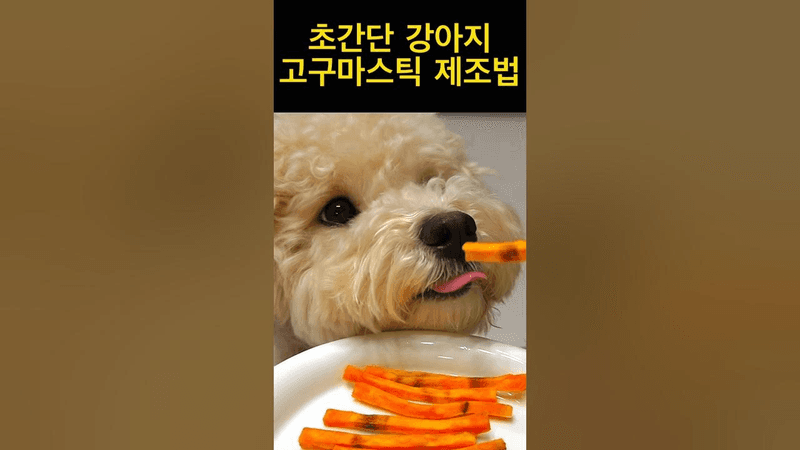 강아지 고구마스틱 제조법 | 초간단 강아지 간식 만들기 Thumbnail