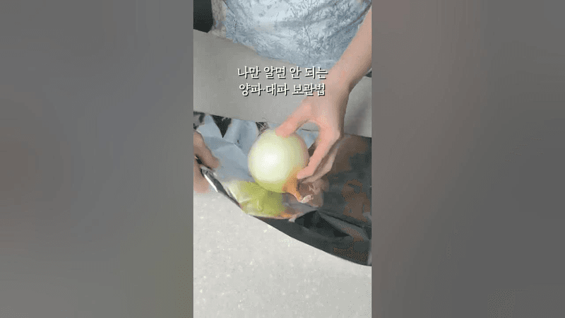 나만 알면 안 되는 양파, 대파 보관법🧅🥬 Thumbnail