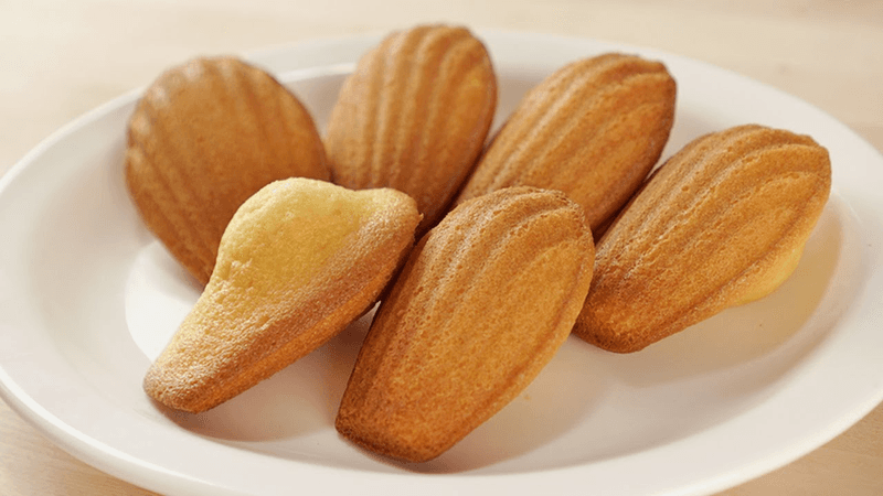 [쉽게 배우는] 틀만 있으면 너무 쉬워요! 기본 마들렌 만들기 (종이컵 계량) Thumbnail