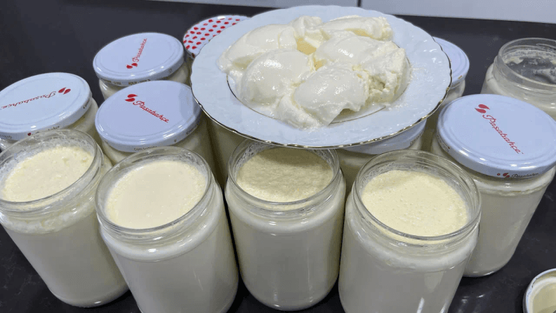 주의❗ 몇 달 동안 상하지 않는 돌처럼 단단한 요거트의 비밀 ❗ 요거트 레시피 Thumbnail