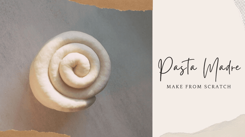 파네토네용 파스타 마드레 만들기 Thumbnail