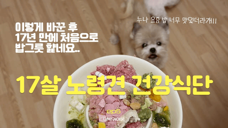 17년차 보호자가 꼭 지키는 장수식단비법 3가지 ! Thumbnail