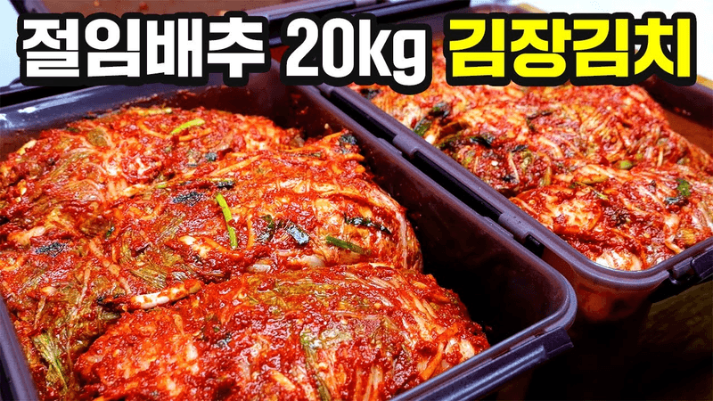2025년 김장김치 이 방법이 최고입니다 Thumbnail