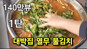 집밥💜대박집 열무 물 김치는 이렇게 합니다 고추가루는 고운고추가루 종이컵 한컵 하시면 됩니다~ Thumbnail