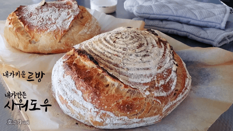 그 유명한 사워도우빵 이렇게 쉽다니 Thumbnail