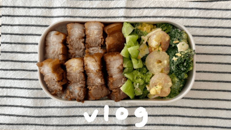 동파육 도시락으로 싸서 학교 가는 자취생 요리 브이로그 Thumbnail