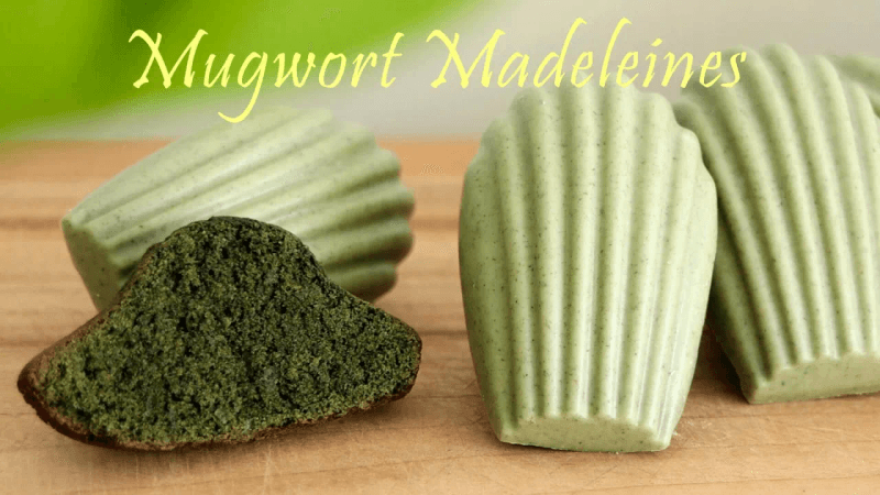 향긋한 쑥 마들렌 Thumbnail