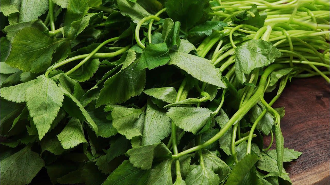 참나물김무침 Thumbnail