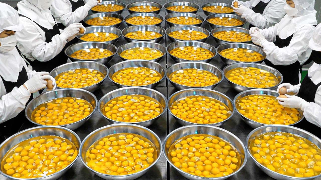 압도적인 생생한 현장! 역대급 위생과 스케일의 식품 공장 대량 생산 BEST8 몰아보기 / Amazing Food Factory BEST8 / korean street food Thumbnail