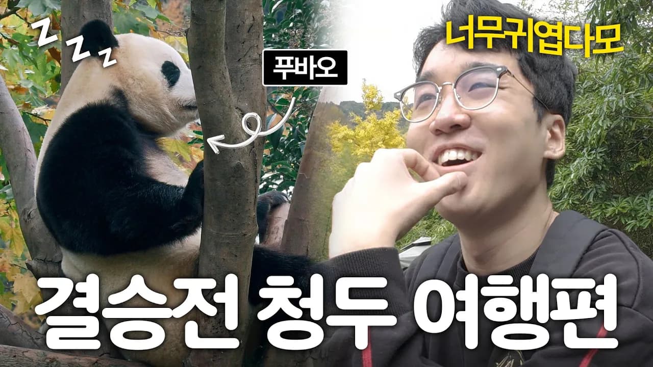 결승전 청두 여행편 | 푸바오 보러 판다기지 다녀왔다모 | 2025 Worlds Thumbnail
