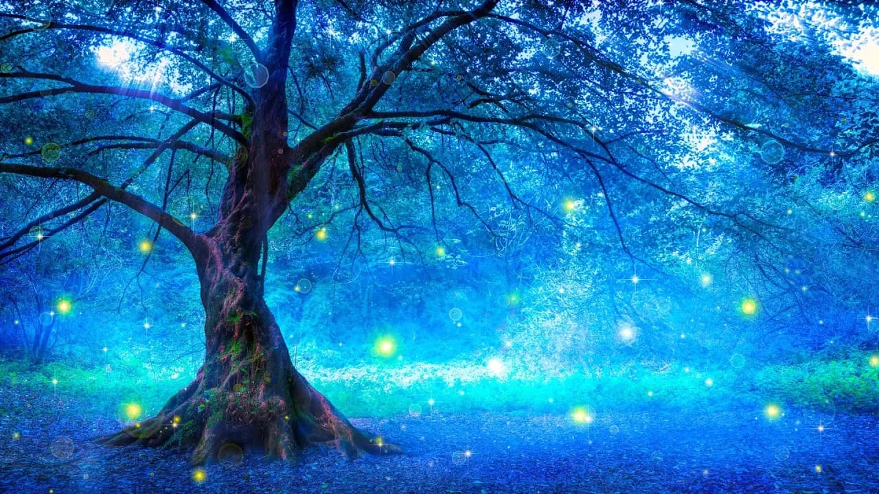 10시간 잔잔한 수면음악 🎵 스트레스 해소음악, 잠잘때 듣는 음악, 불면증치료음악, 수면유도음악 (My Dream) Thumbnail