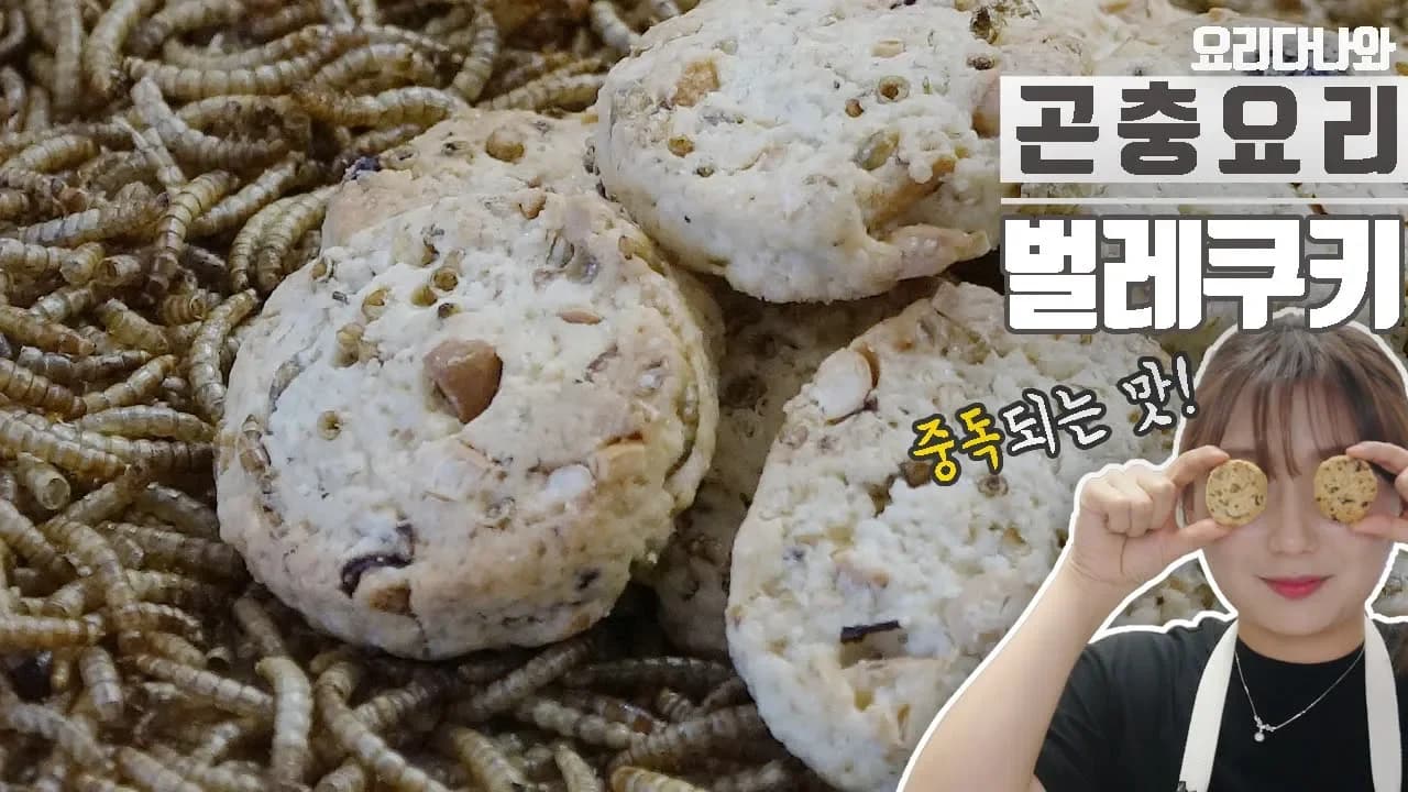 [곤충요리] 벌레로 쿠키를??? 한번먹으면 중독되는 건강한맛! 고소애 밀웜으로 쿠키만들기! Thumbnail