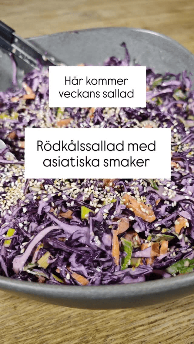 recipe collection card