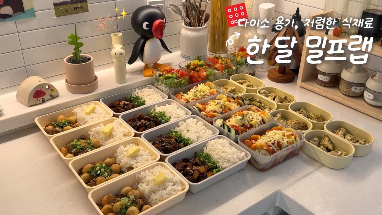요청 많았던!☀️한 달 점심 밀프랩 만들기🍙✨ㅣ다이소 용기, 저렴한 식재료, 쉬운 레시피..!🤍ㅣ바질 안심 포케ㅣ돼지갈비덮밥ㅣ버터 장조림 덮밥ㅣ라따뚜이 Thumbnail